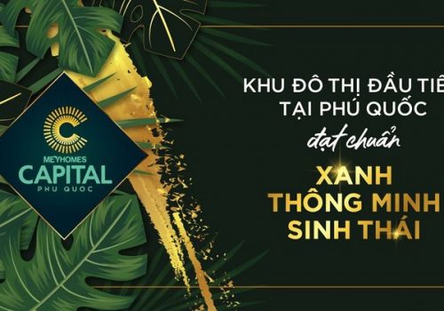3 giá trị kim cương tại Meyhomes Capital